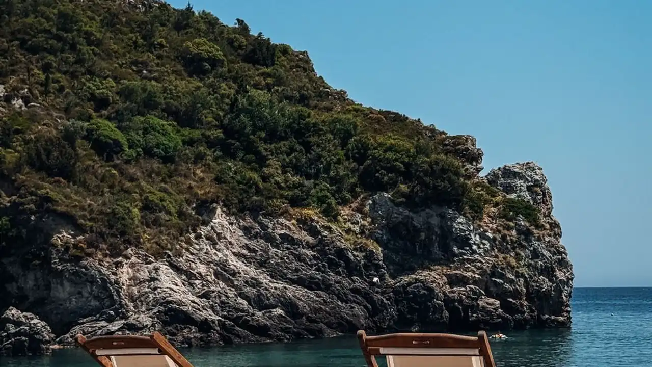 张芷念头像