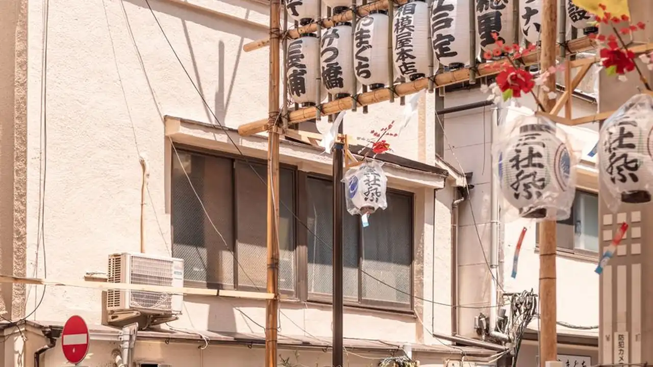 仙仙影视网怎么用及常见问题
