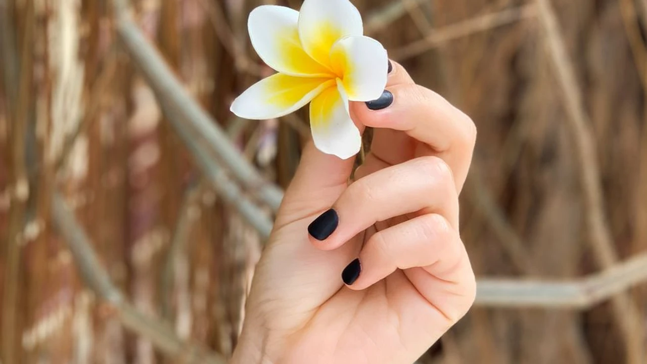 郑慧玲头像